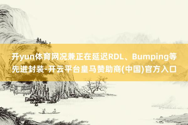 开yun体育网况兼正在延迟RDL、Bumping等先进封装-开云平台皇马赞助商(中国)官方入口